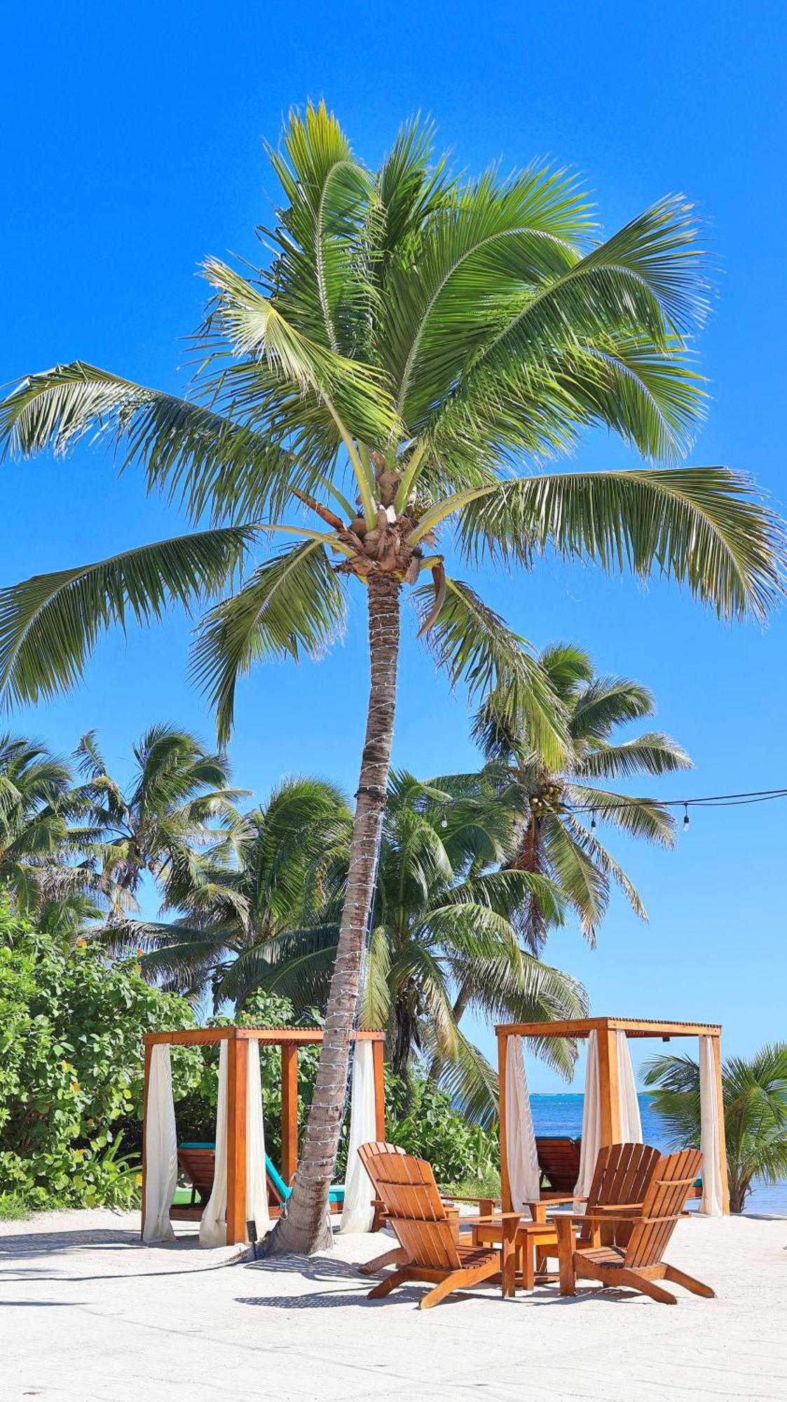 Mangata Villas Adults Only San Pedro  Ngoại thất bức ảnh